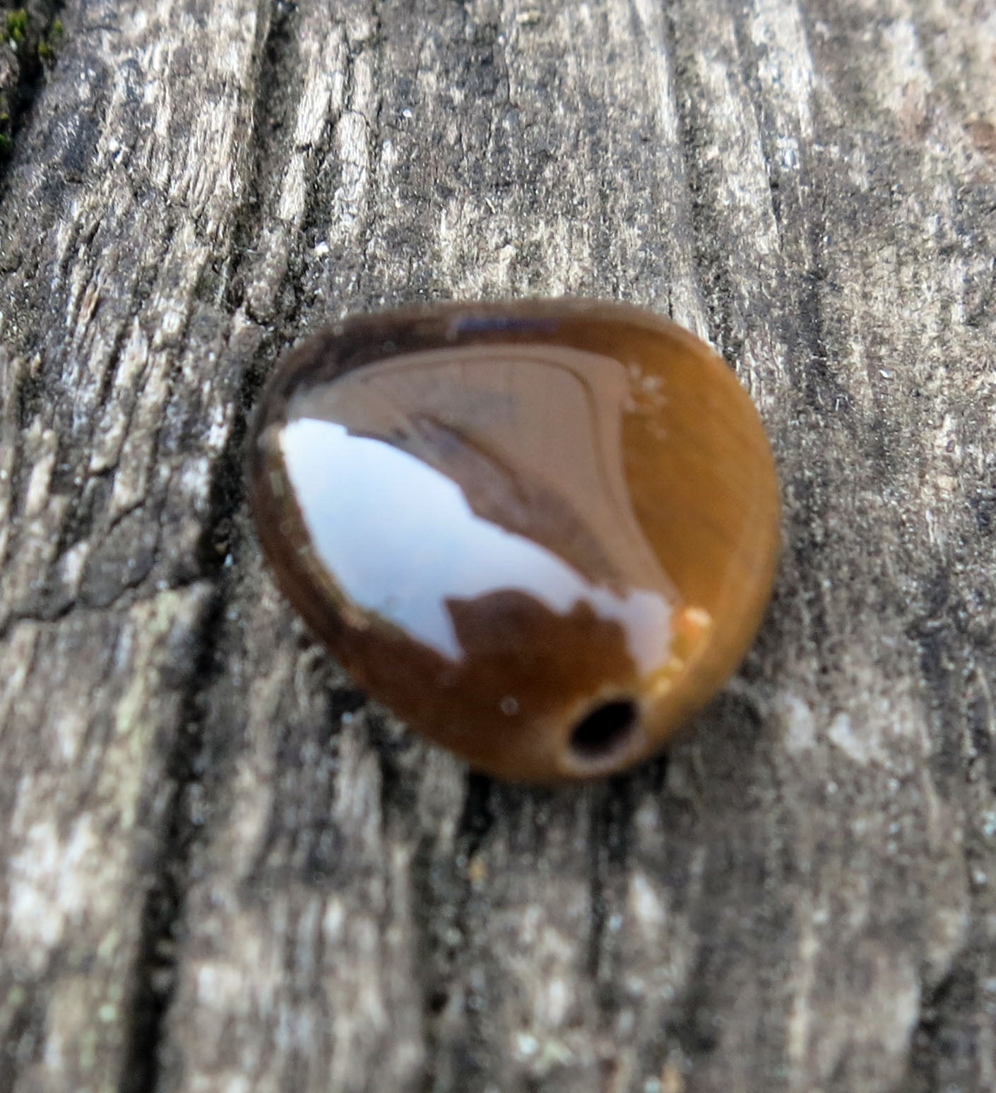 Tiger Eye - Hjärta 10 mm, 1 styck