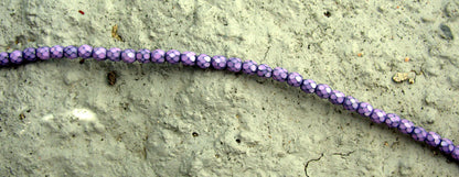 Tjeckiska Firepolish - Snake Lilac 4 mm, 1 sträng