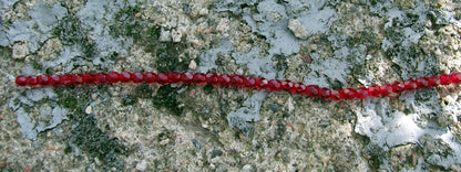 Tjeckiska FP facetterade - Garnet, 4 mm